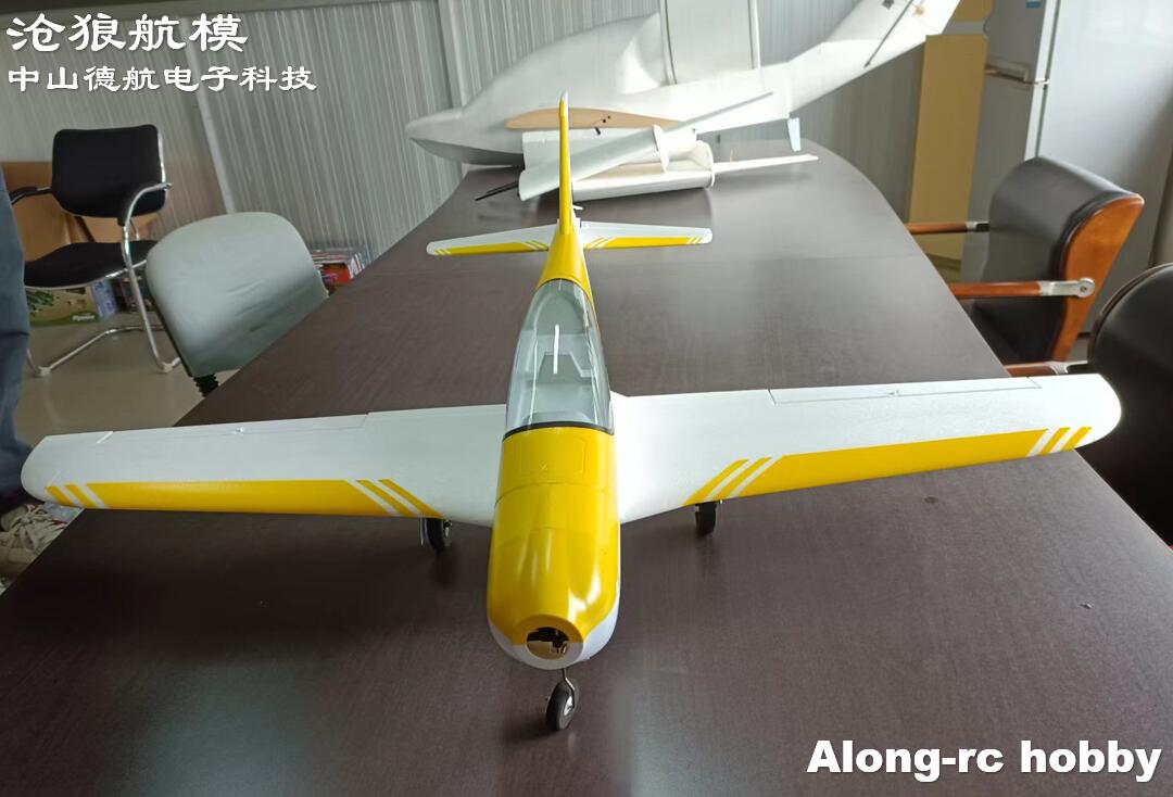 Outdoor Sport Hobbies - RC EPO 폼 비행기 스포츠 에어로바틱